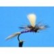 Dries Purple Parachute Adams $2.34