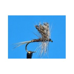 Dries Quill Gordon $2.34