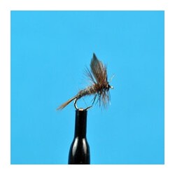 Dries Little Maryatt $2.34