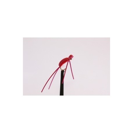 Dries red corixa foam $2.34