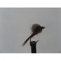 Dries claret emerger cdc $2.34