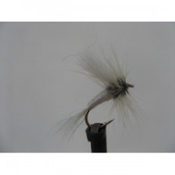 Dries wulff white dry $2.34