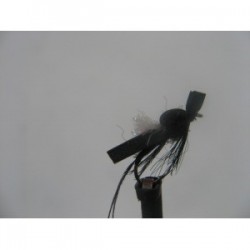 Dries hawthorn foam $2.34