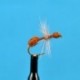 Dries Cinnamon Ant $2.34
