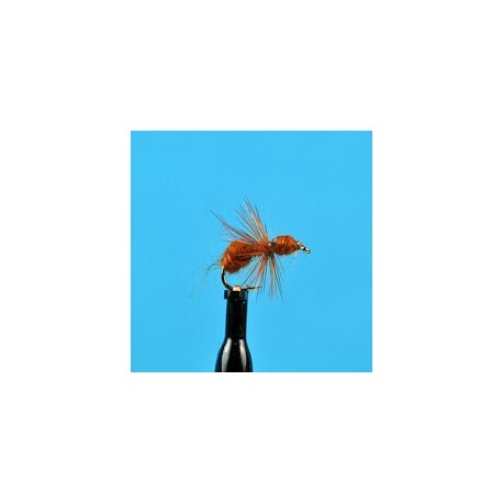 Dries Brown Flying Ant $2.34