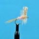 Dries Pink Cahill $2.34