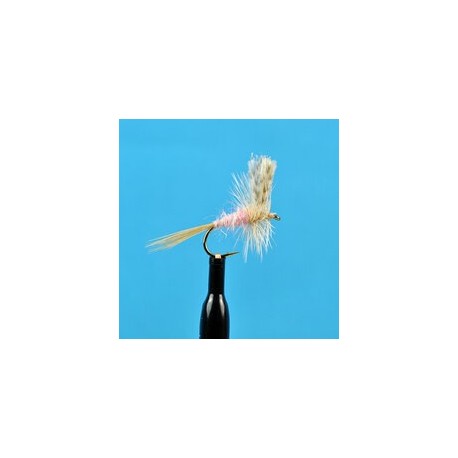 Dries Pink Cahill $2.34
