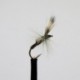 Dries ians straggler $2.34