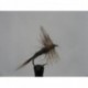 Dries adams dry $2.34