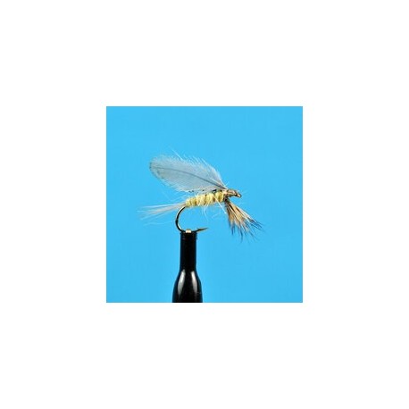Dries Burnt Wing PMD $2.34