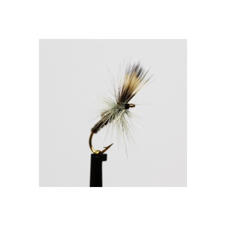 Dries ians straggler $2.34