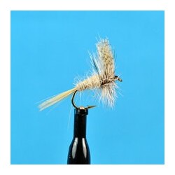 Dries Grey Fox $2.34