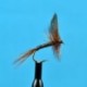 Dries Red Quill $2.34