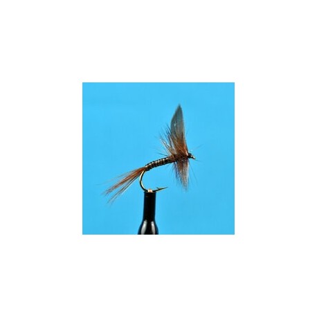 Dries Red Quill $2.34