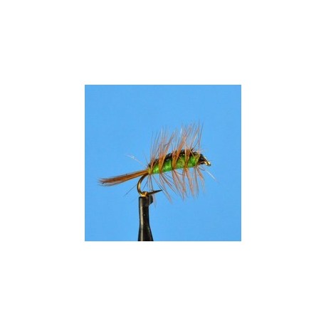 Dries Crackleback  Green $2.34