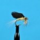 Dries Burnt Wing BWO $2.34