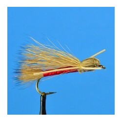 Dries Madam X  Red $2.34