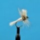 Dries White Wulff $2.34