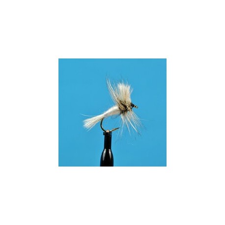 Dries White Wulff $2.34