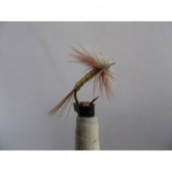 Dries border greenwell dry $2.34