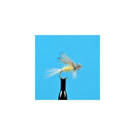 Dries Ugly Duckling PMD $2.34