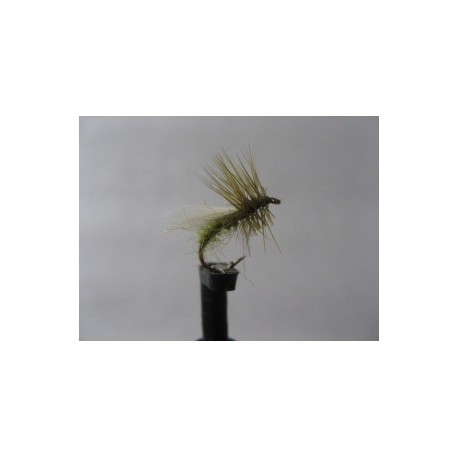 Dries bobs bits olive dry $2.34