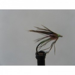Dries fl green orange brite thorax spider $2.34