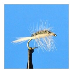 Dries Crackle Back  White $2.34