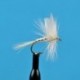 Dries White Miller $2.34