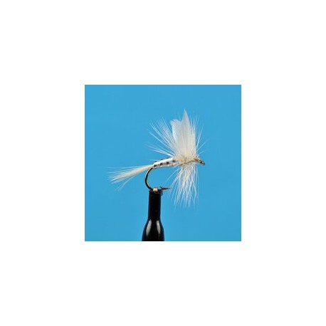 Dries White Miller $2.34