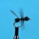 Dries Black Flying Ant $2.34