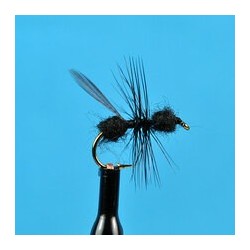 Dries Black Flying Ant $2.34