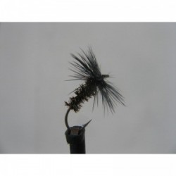 Dries black and peacock spider dry $2.34