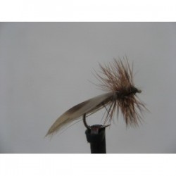 Dries europa sedge $2.34