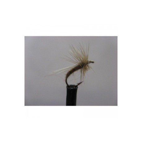 Dries bobs bits ginger dry $2.34