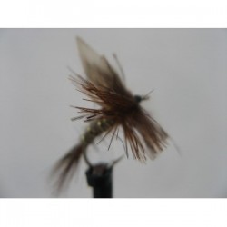 Dries march brown dry $2.34