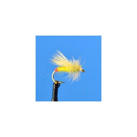 Dries Yellow Sally With Red Butt $2.34