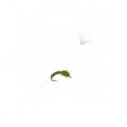 Dries parasol midge olive $2.34