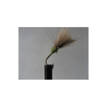 Dries ians cdc caenis olive $2.34