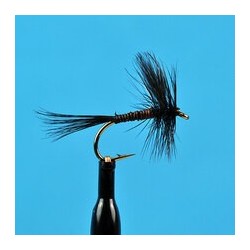 Dries Black Variant $2.34