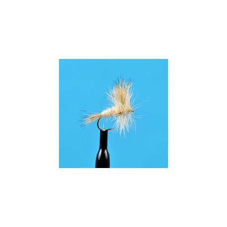 Dries Pure Blonde Wulff $2.34