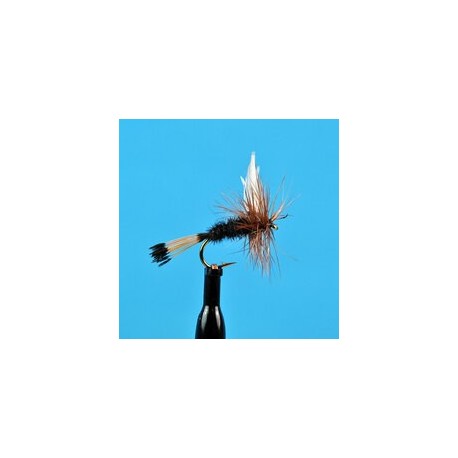 Dries Pure Rio Grand King $2.34