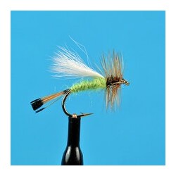 Dries Pure Lime Trude $2.34