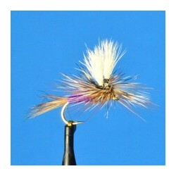 Dries Pure Parachute Purple Wulff $2.34