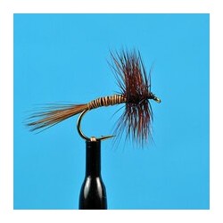 Dries Pure Brown Variant $2.34