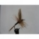 Dries Pure ginger quill dry $2.34