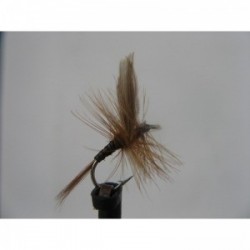 Dries Pure ginger quill dry $2.34