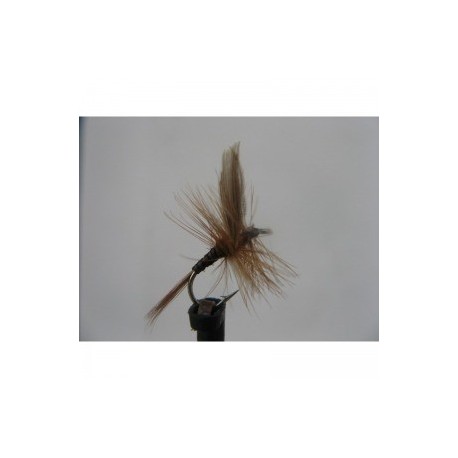 Dries Pure ginger quill dry $2.34