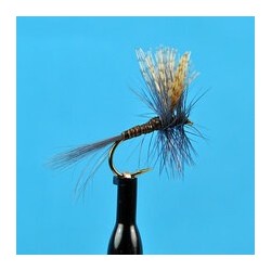 Dries Pure Quill Gordon $2.34