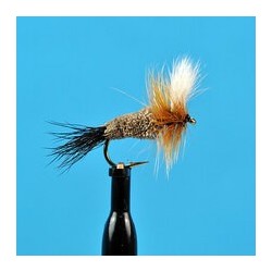 Dries Pure Irresistible Wulff $2.34